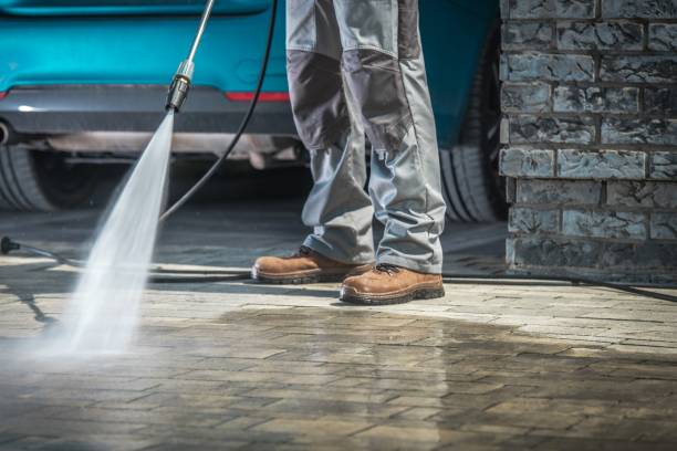 Best Warehouse Cleaning  in Baudette, MN