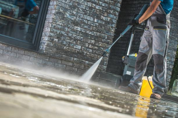 Best Patio and Deck Pressure Washing  in Baudette, MN