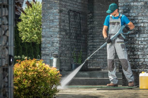 Best Soft Washing  in Baudette, MN
