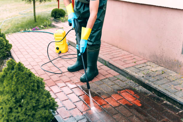 Best Graffiti Removal  in Baudette, MN