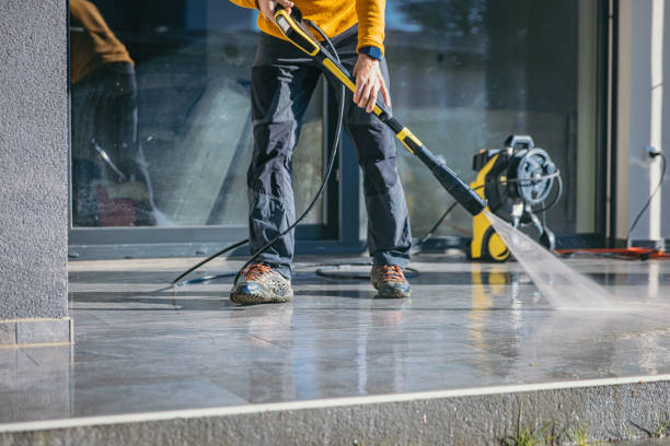 Best Roof Washing  in Baudette, MN