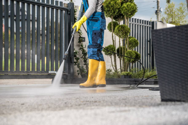 Best Driveway Pressure Washing  in Baudette, MN