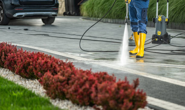 Best Playground Equipment Cleaning  in Baudette, MN